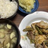 在宅勤務ランチ　ゴーヤチャンプルー