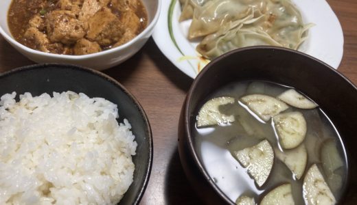 白菜大玉一玉使い切りチャレンジ　その8 餃子