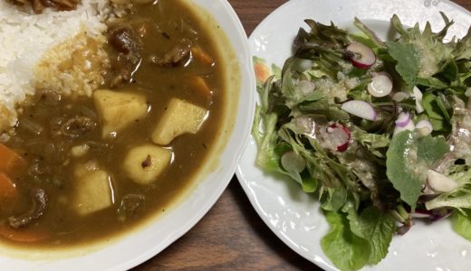 牛すじカレーと塩麹ドレッシングで食べるサラダの献立