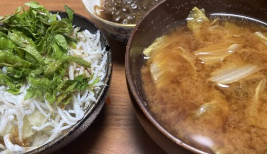 大根おろしダイエット　ふたたびのしらすおろし丼