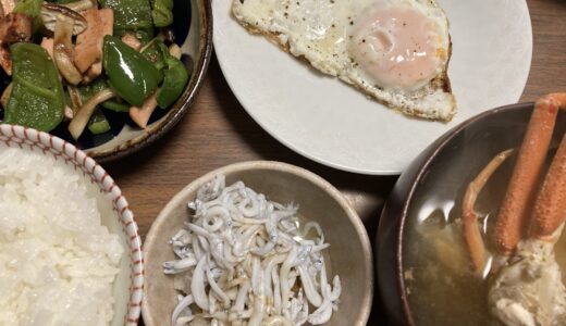 目玉焼き定食風献立とベジチェック結果