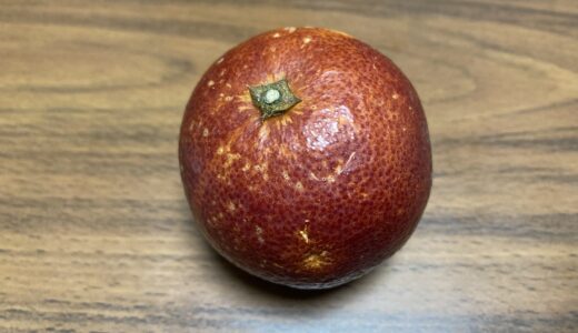 ブラッドオレンジを初めて食べてみた